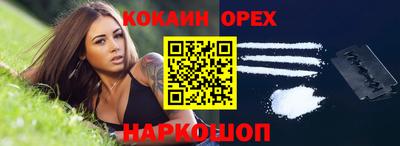 Альфа ПВП Можга