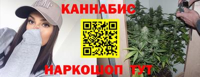 Альфа ПВП Можга