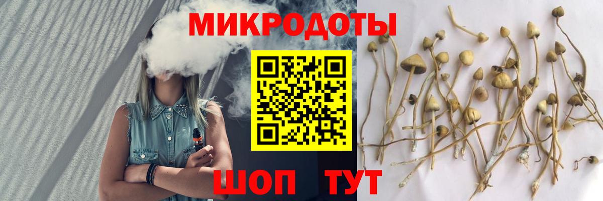 Геленджик  Галлюциногенные грибы MAGIC MUSHROOMS  Вход с VPN  Галлюциногенные грибы мухоморы 